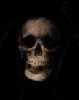 Seventh Face of Man