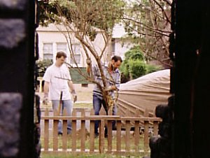 Gary and Nathan installing parkway trees