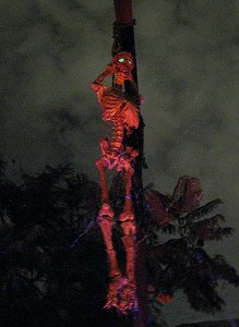 Poison Oak Street Hanging Skeleton