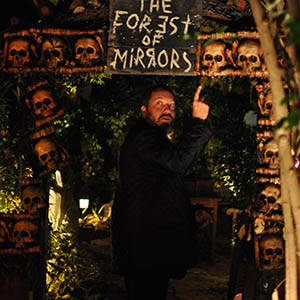 Forest of Mirrors Gate