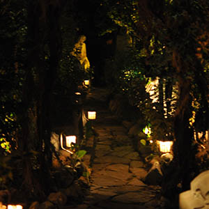 Forest of Mirrors Path