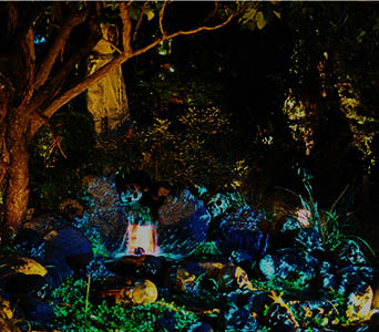 Forest of Mirrors Skulls