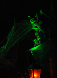 Pepper's Ghost House 1