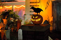Decor in Van Nuys