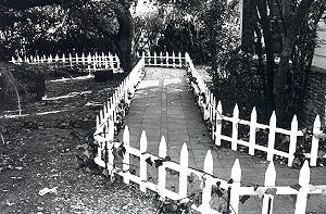 Path