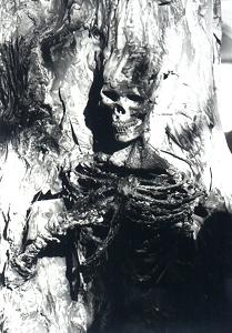 The Emplanted