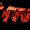 Bats