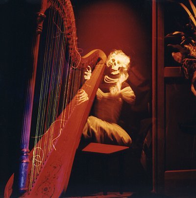Harpist