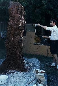 Tree Repaint