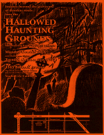 1995 Flyer