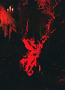Suicide Stump
